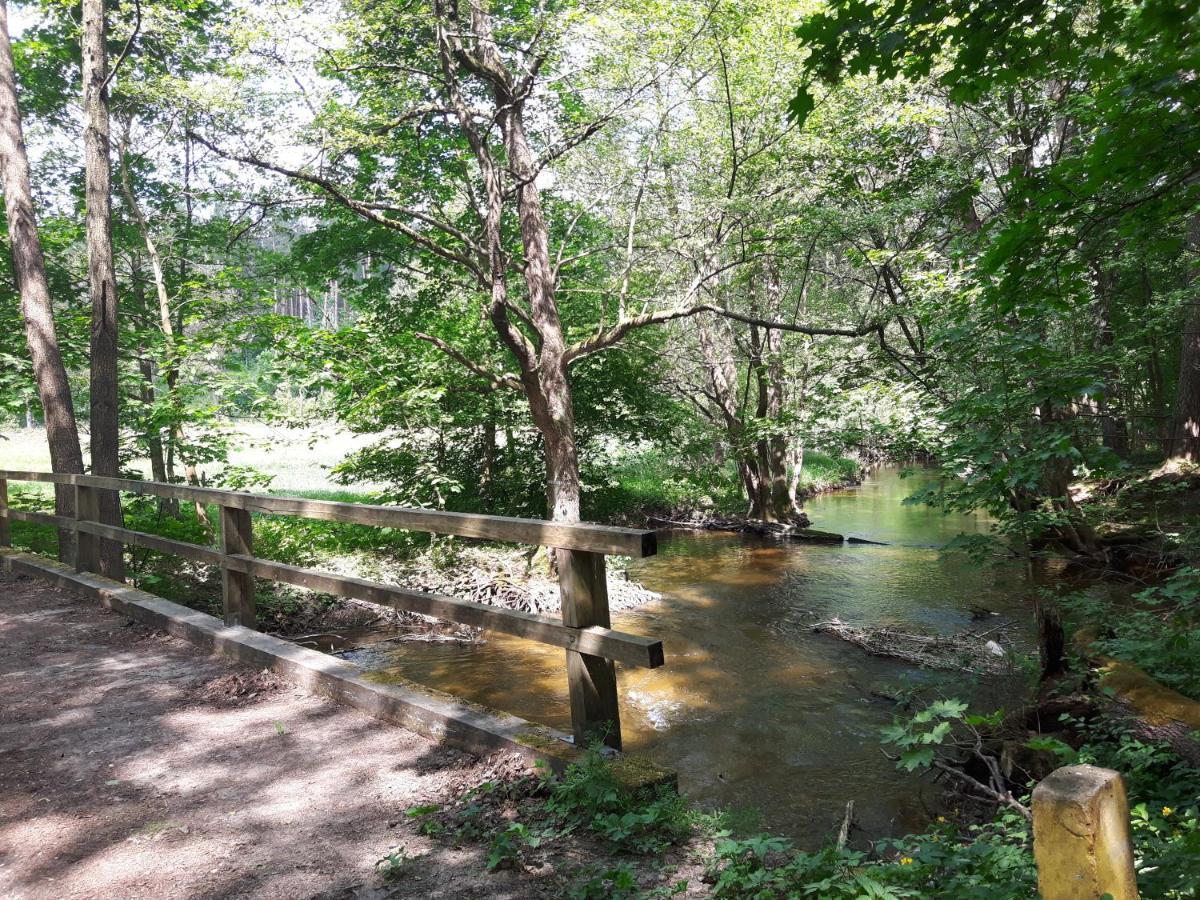 Mazury Caloroczny Gm Ostroda Jezioro * Pelnik