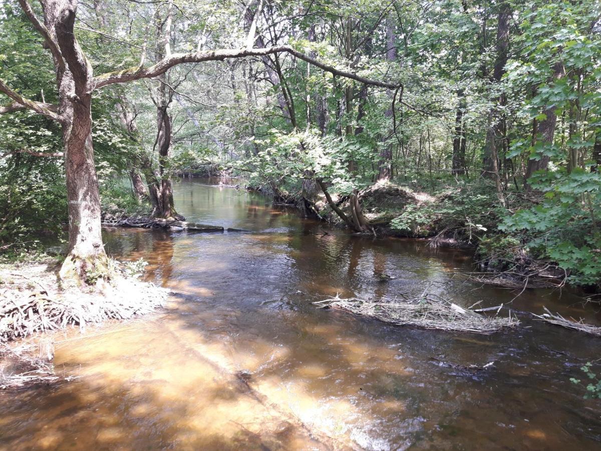 Mazury Całoroczny Gm Ostróda Jezioro Dom wakacyjny Pelnik